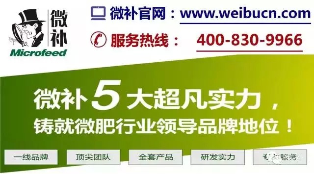 余教授奧地利鄉村行：萬科為什么說把奧地利小鎮搬回來？