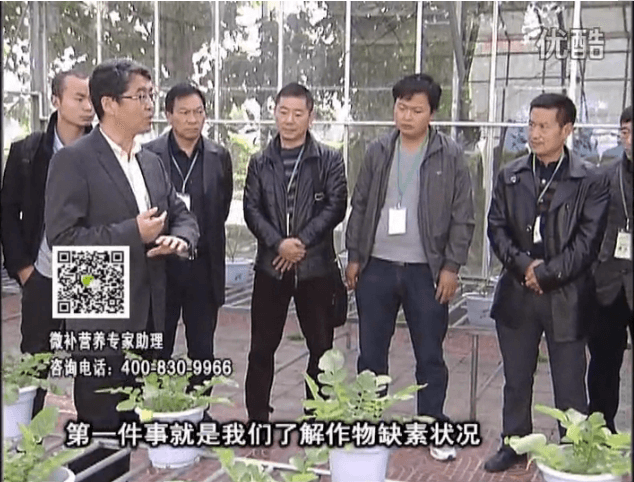 20160418珠江臺搖錢樹：和重慶種植業主走進微補，探秘微補生產研發技術